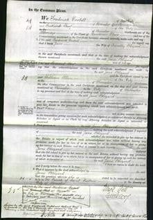 Court of Common Pleas - Jane Blizard-Original Ancestry