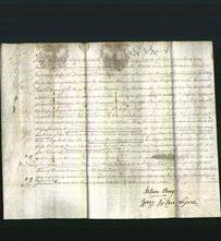 Deed by Married Women -Marianne Nicholson, Mary Peile, Sarah Nicholson and Isabella Wheatley-Original Ancestry