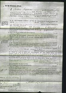 Court of Common Pleas - Mary Ann Marston-Original Ancestry