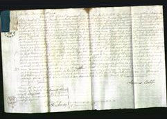 Court of Common Pleas - Elizabeth Flatman-Original Ancestry