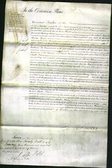 Court of Common Pleas - Hester Ward-Original Ancestry