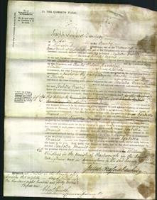 Court of Common Pleas - Isabella Marris-Original Ancestry