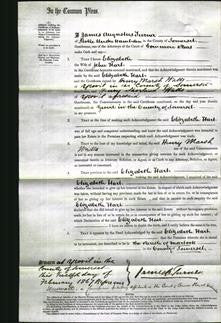 Court of Common Pleas - Elizabeth Hart-Original Ancestry