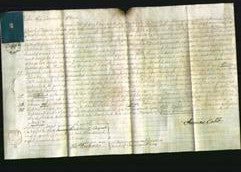 Court of Common Pleas - Ann Bell Hammond-Original Ancestry