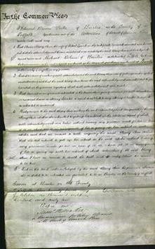 Court of Common Pleas - Mary Ann Spinks-Original Ancestry