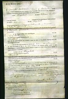 Court of Common Pleas - Elizabeth Curtis-Original Ancestry