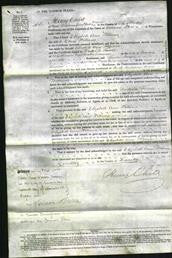 Court of Common Pleas - Elizabeth Ann Williams-Original Ancestry