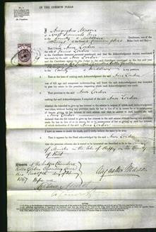 Court of Common Pleas - Ann Lorden-Original Ancestry