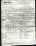 Court of Common Pleas - Mary Gall, Elizabeth Gall-Original Ancestry