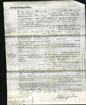 Court of Common Pleas - Ann Taylor-Original Ancestry
