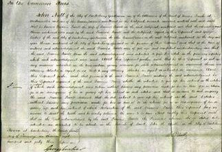 Court of Common Pleas - Frances Powell-Original Ancestry