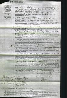 Court of Common Pleas - Clementina Matilda Mitchell-Original Ancestry