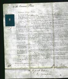 Court of Common Pleas - Jane Clare Brookes-Original Ancestry