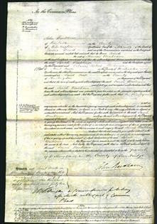 Court of Common Pleas - Sarah Woodham-Original Ancestry