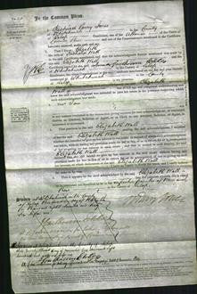 Court of Common Pleas - Elizabeth Wall-Original Ancestry