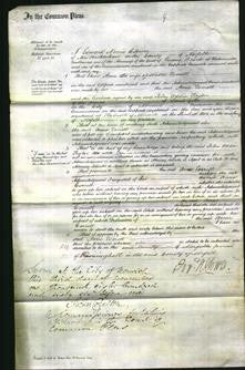 Court of Common Pleas - Anne Everett-Original Ancestry