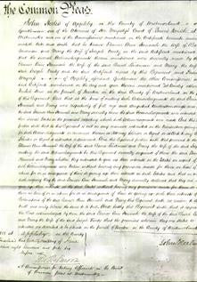 Court of Common Pleas - Eleanor Ann Hannah Laidman, Mary Marty-Original Ancestry