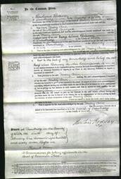 Court of Common Pleas - Mary Ann Applegate-Original Ancestry