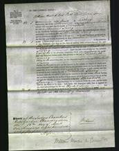 Court of Common Pleas - Elizabeth Surry-Original Ancestry