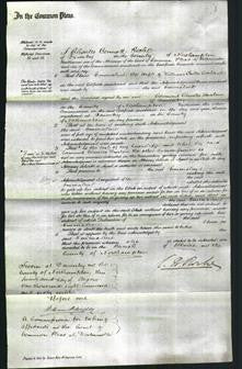 Court of Common Pleas - Emmaline Cockerill-Original Ancestry