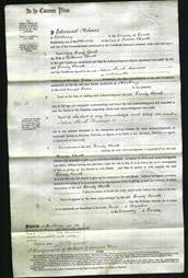 Court of Common Pleas - Emily Buck-Original Ancestry