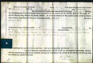 Deed by Married Women - Elizabeth Wiles #2-Original Ancestry