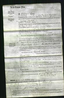 Court of Common Pleas - Elizabeth Wiles #2-Original Ancestry