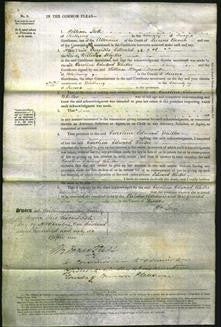 Court of Common Pleas - Caroline Edward Whitter-Original Ancestry