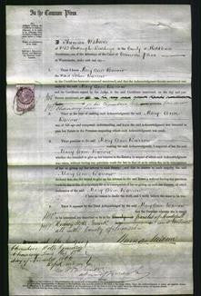 Court of Common Pleas - Mary Ann Barrow-Original Ancestry