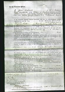 Court of Common Pleas - Rebecca Gainsford Soames-Original Ancestry