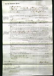 Court of Common Pleas - Ann Jones-Original Ancestry