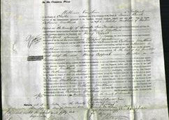 Court of Common Pleas - Catherine Matthews-Original Ancestry