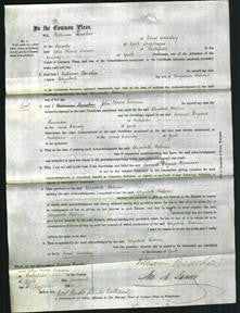 Court of Common Pleas - Elizabeth Holmes-Original Ancestry