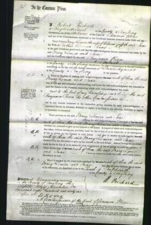 Court of Common Pleas - Mary Louisa Griffith, Jane Jones-Original Ancestry