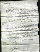 Court of Common Pleas - Sarah Salome Wise-Original Ancestry