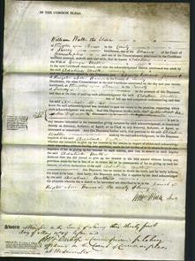 Court of Common Pleas - Adaline Walter-Original Ancestry