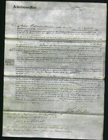 Court ofCommon Pleas - Ann Steadman and Elizabeth Briscoe-Original Ancestry