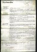 Court of Common Pleas - Sarah Womack-Original Ancestry