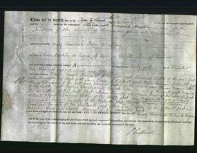 Deed by Married Women - Emily Susannah Fisher de Nigris-Original Ancestry