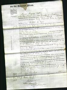 Court of Common Pleas - Emily Susannah Fisher de Nigris-Original Ancestry