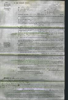 Court of Common Pleas - Anne Wright-Original Ancestry