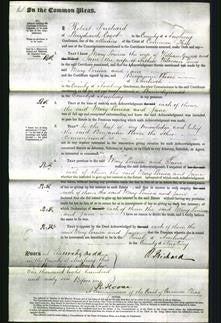 Court of Common Pleas - Mary Louisa Griffith, Jane Jones-Original Ancestry