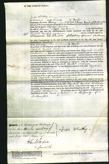 Court of Common Pleas - Elizabeth Bartlett Workman-Original Ancestry