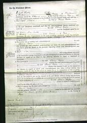 Court of Common Pleas - Eleanor Barten-Original Ancestry