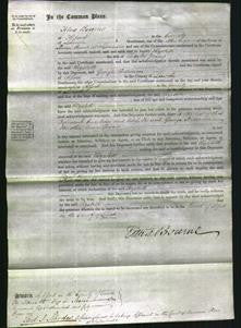 Court of Common Pleas - Elizabeth Young-Original Ancestry