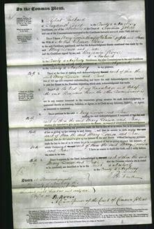 Court of Common Pleas - Mary Louisa Griffith, Jane Jones-Original Ancestry