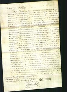 Court of Common Pleas - Mary Atkinson-Original Ancestry