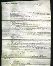 Court of Common Pleas - Emily Morris-Original Ancestry
