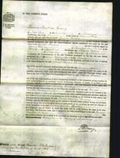 Court of Common Pleas - Emma Amelia Freeling-Original Ancestry