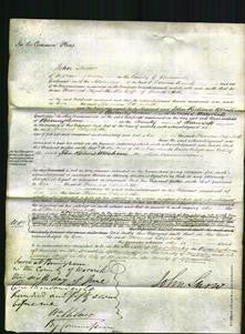 Court of Common Pleas - Frances Elizabeth Ash-Original Ancestry